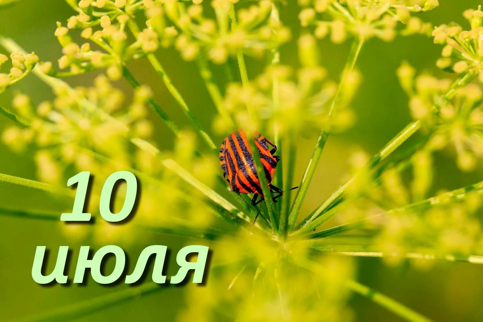 https://upforme.ru/uploads/001c/87/08/3/795540.jpg
