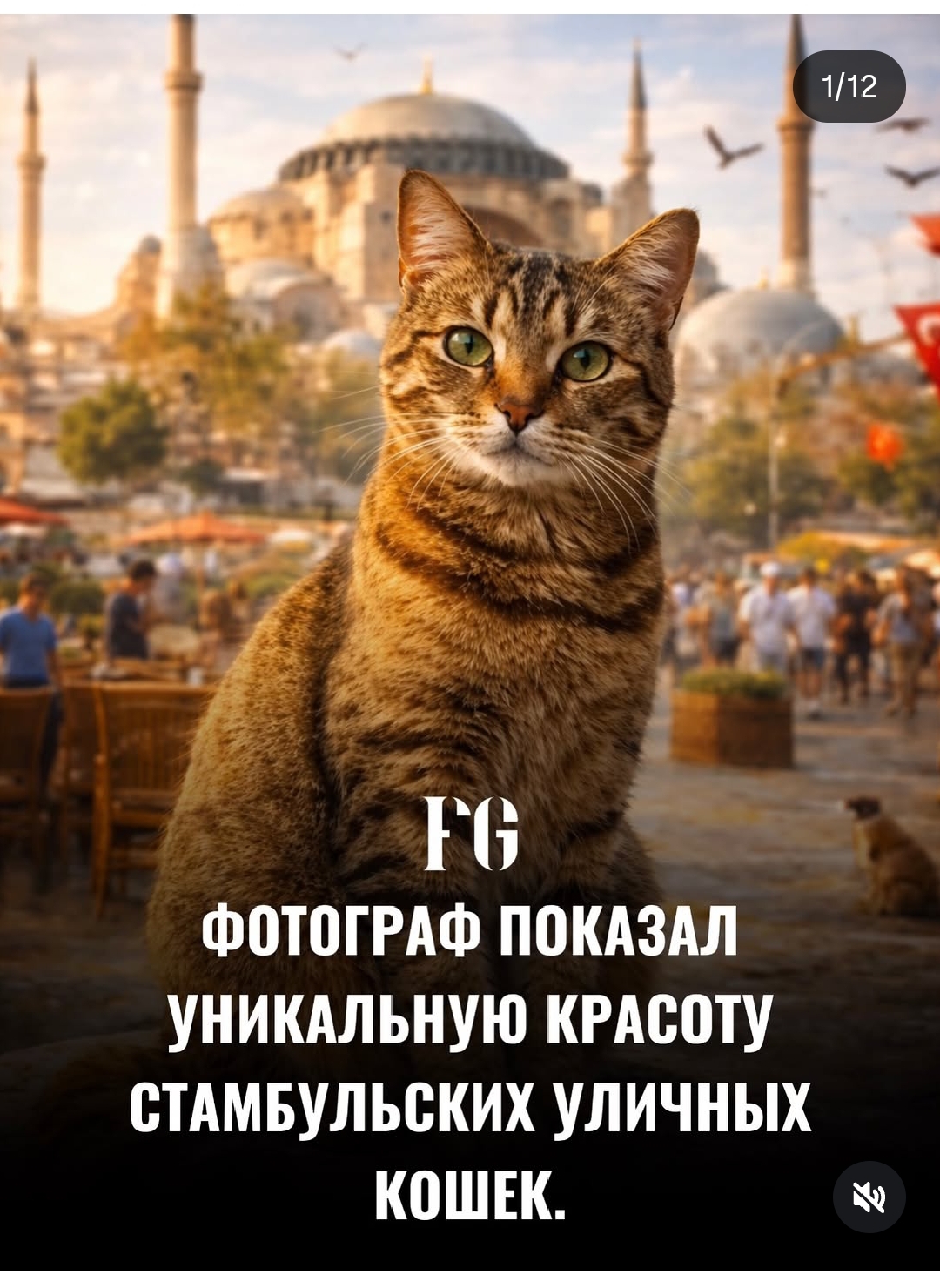 https://upforme.ru/uploads/001c/87/08/3/798978.jpg