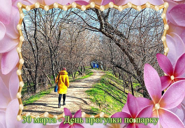 https://upforme.ru/uploads/001c/87/08/3/802703.jpg
