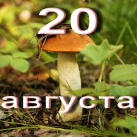 https://upforme.ru/uploads/001c/87/08/3/822368.jpg