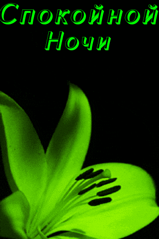 https://upforme.ru/uploads/001c/87/08/3/822576.gif