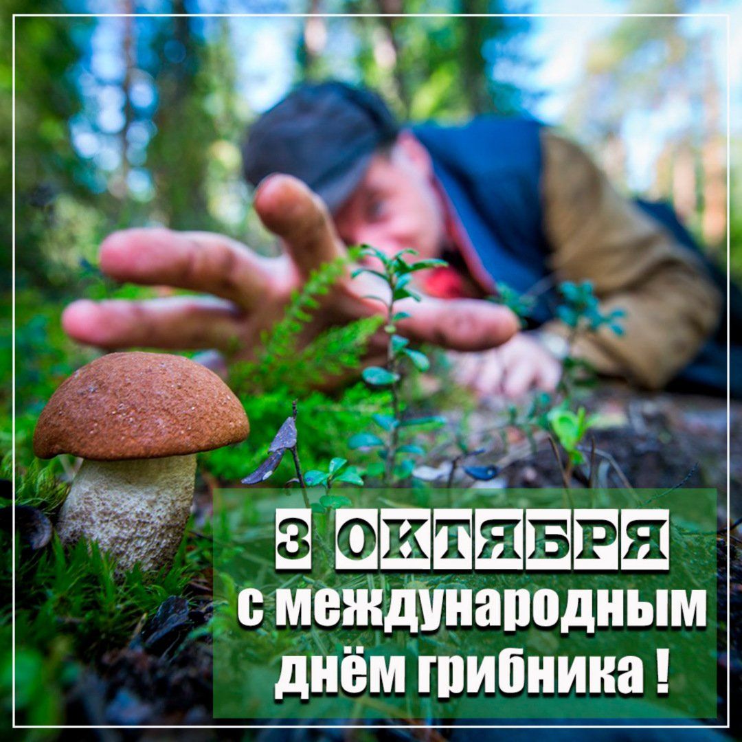 https://upforme.ru/uploads/001c/87/08/3/822870.jpg