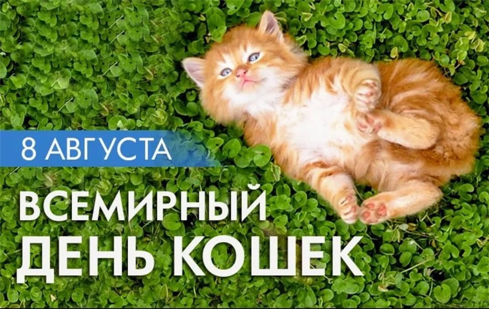 https://upforme.ru/uploads/001c/87/08/3/82418.jpg