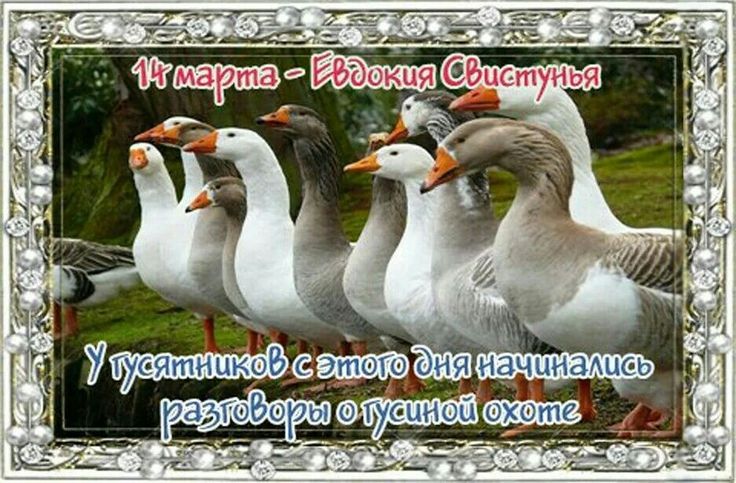 https://upforme.ru/uploads/001c/87/08/3/825480.jpg