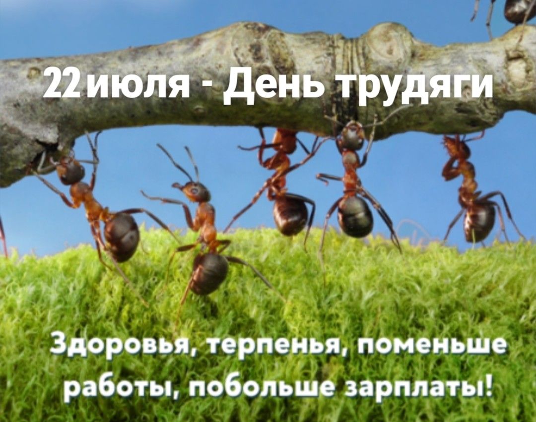 https://upforme.ru/uploads/001c/87/08/3/82667.jpg