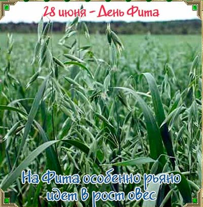 https://upforme.ru/uploads/001c/87/08/3/827111.jpg