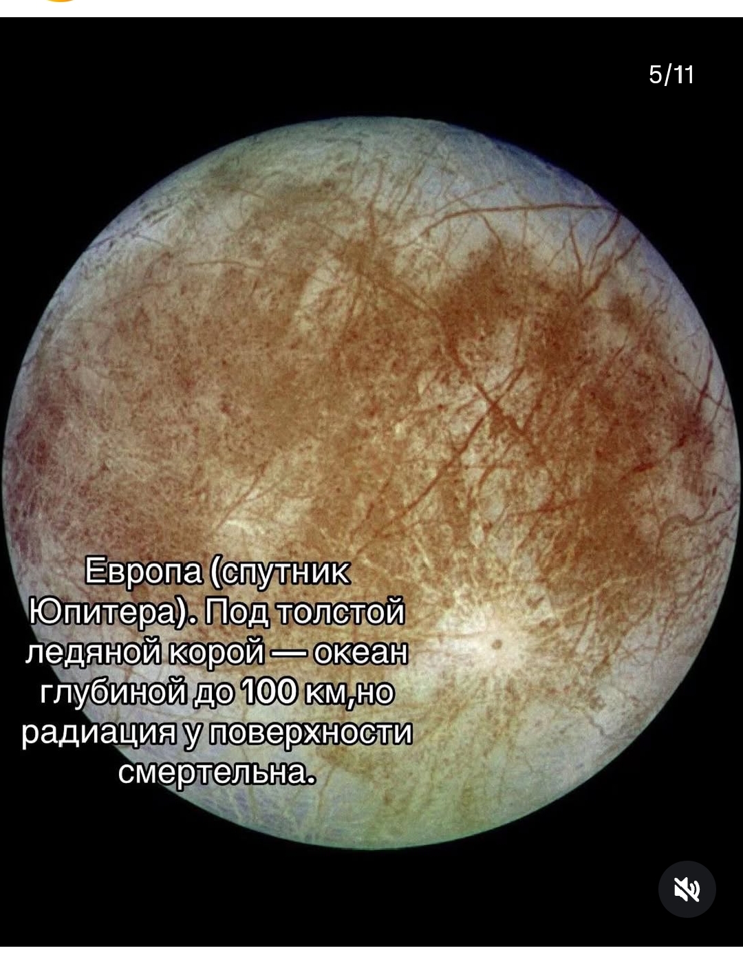 https://upforme.ru/uploads/001c/87/08/3/831332.jpg