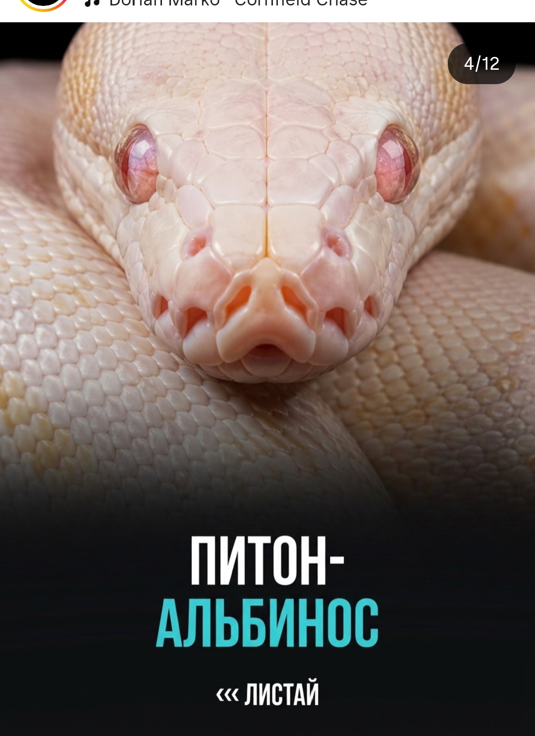 https://upforme.ru/uploads/001c/87/08/3/831433.jpg
