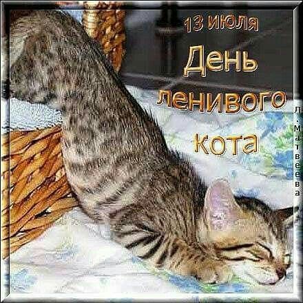 https://upforme.ru/uploads/001c/87/08/3/83399.jpg