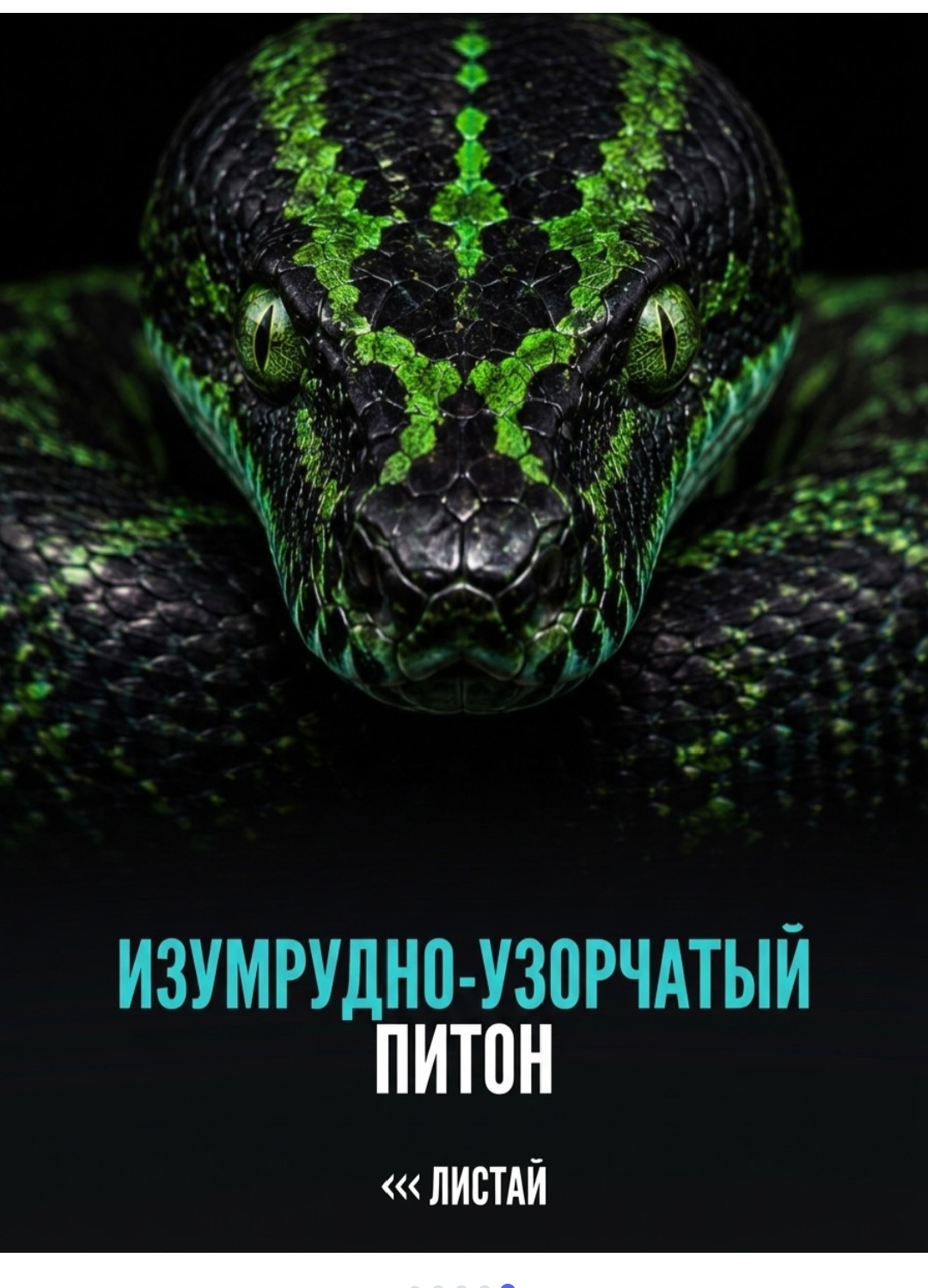 https://upforme.ru/uploads/001c/87/08/3/834859.jpg