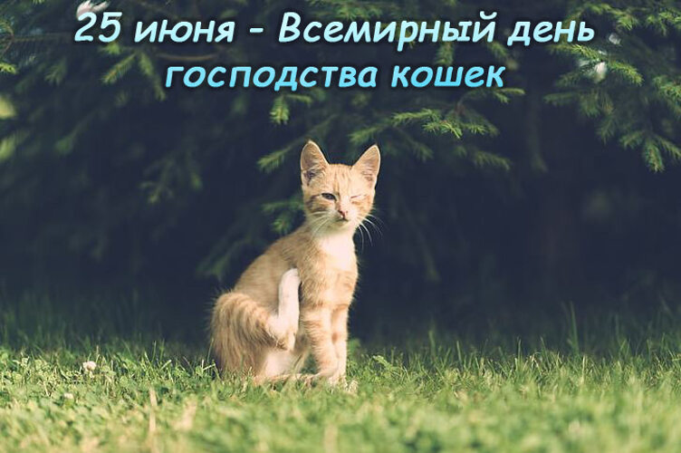 https://upforme.ru/uploads/001c/87/08/3/835148.jpg