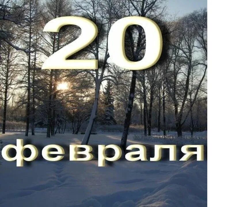 https://upforme.ru/uploads/001c/87/08/3/835302.jpg