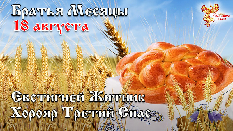 https://upforme.ru/uploads/001c/87/08/3/836989.jpg