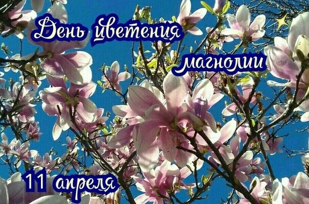 https://upforme.ru/uploads/001c/87/08/3/838977.jpg