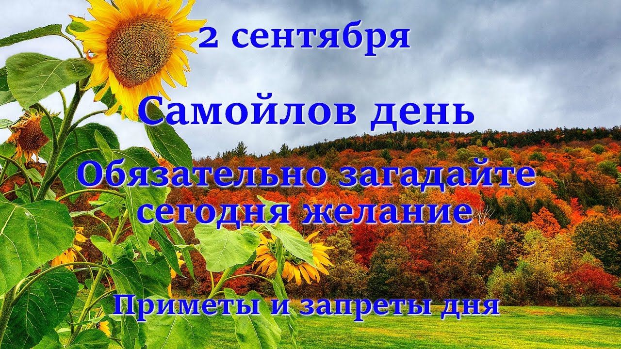 https://upforme.ru/uploads/001c/87/08/3/839316.jpg