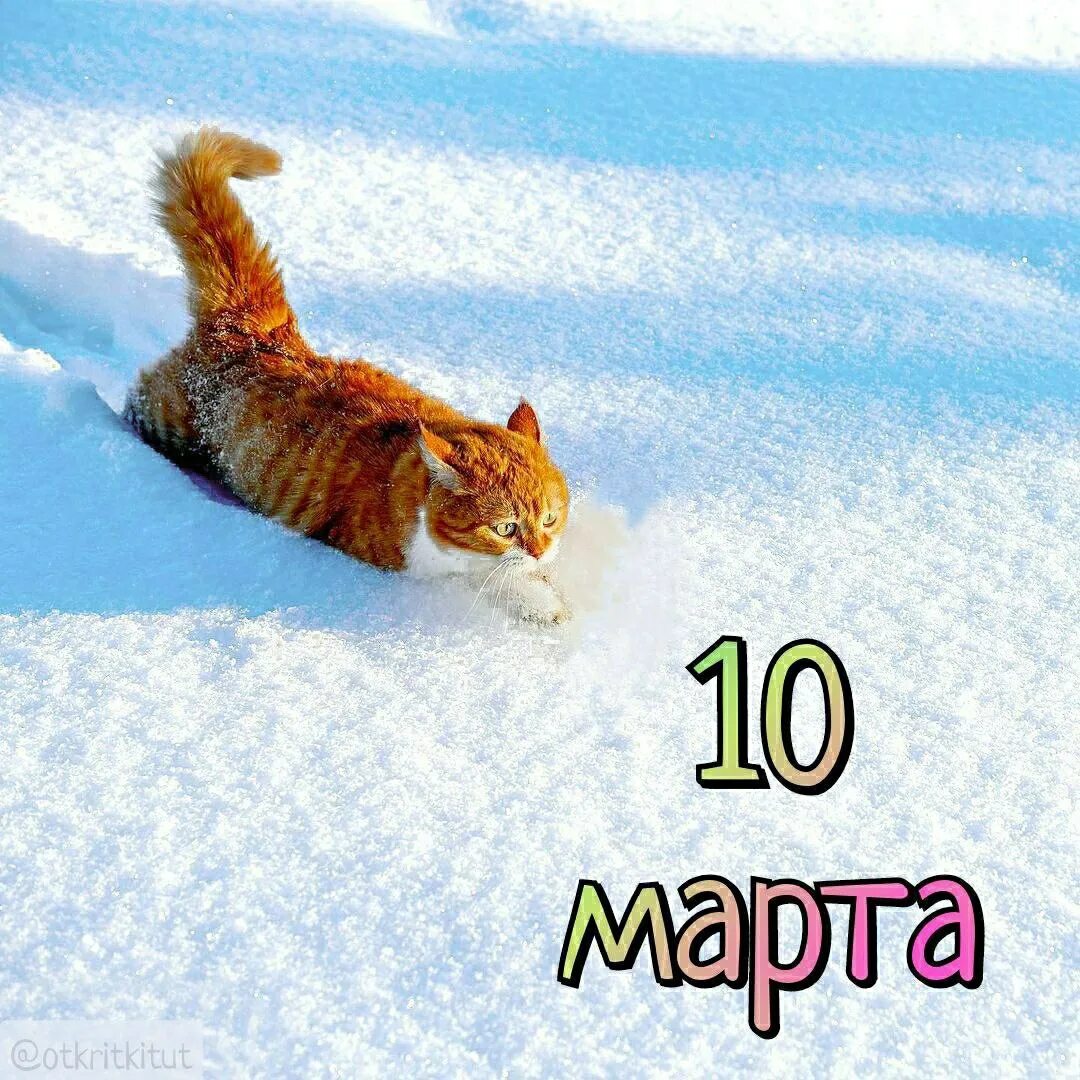 https://upforme.ru/uploads/001c/87/08/3/845748.jpg