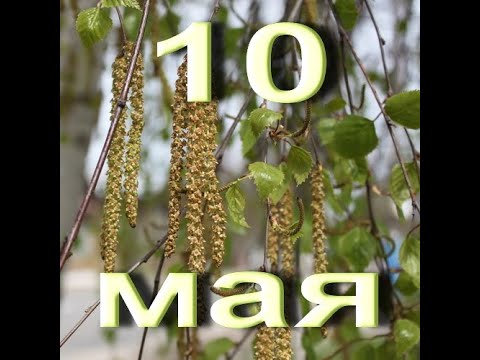 https://upforme.ru/uploads/001c/87/08/3/84934.jpg