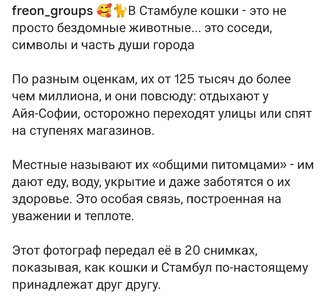 https://upforme.ru/uploads/001c/87/08/3/85134.jpg