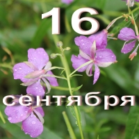 https://upforme.ru/uploads/001c/87/08/3/851560.jpg