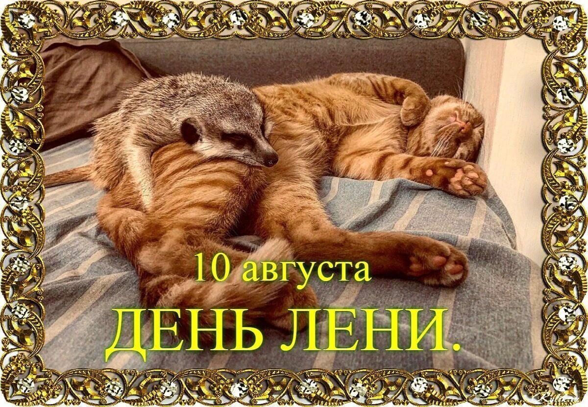 https://upforme.ru/uploads/001c/87/08/3/853966.jpg