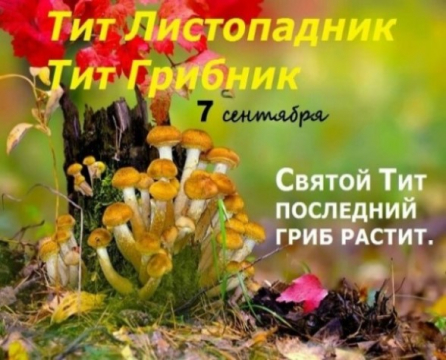 https://upforme.ru/uploads/001c/87/08/3/858154.jpg