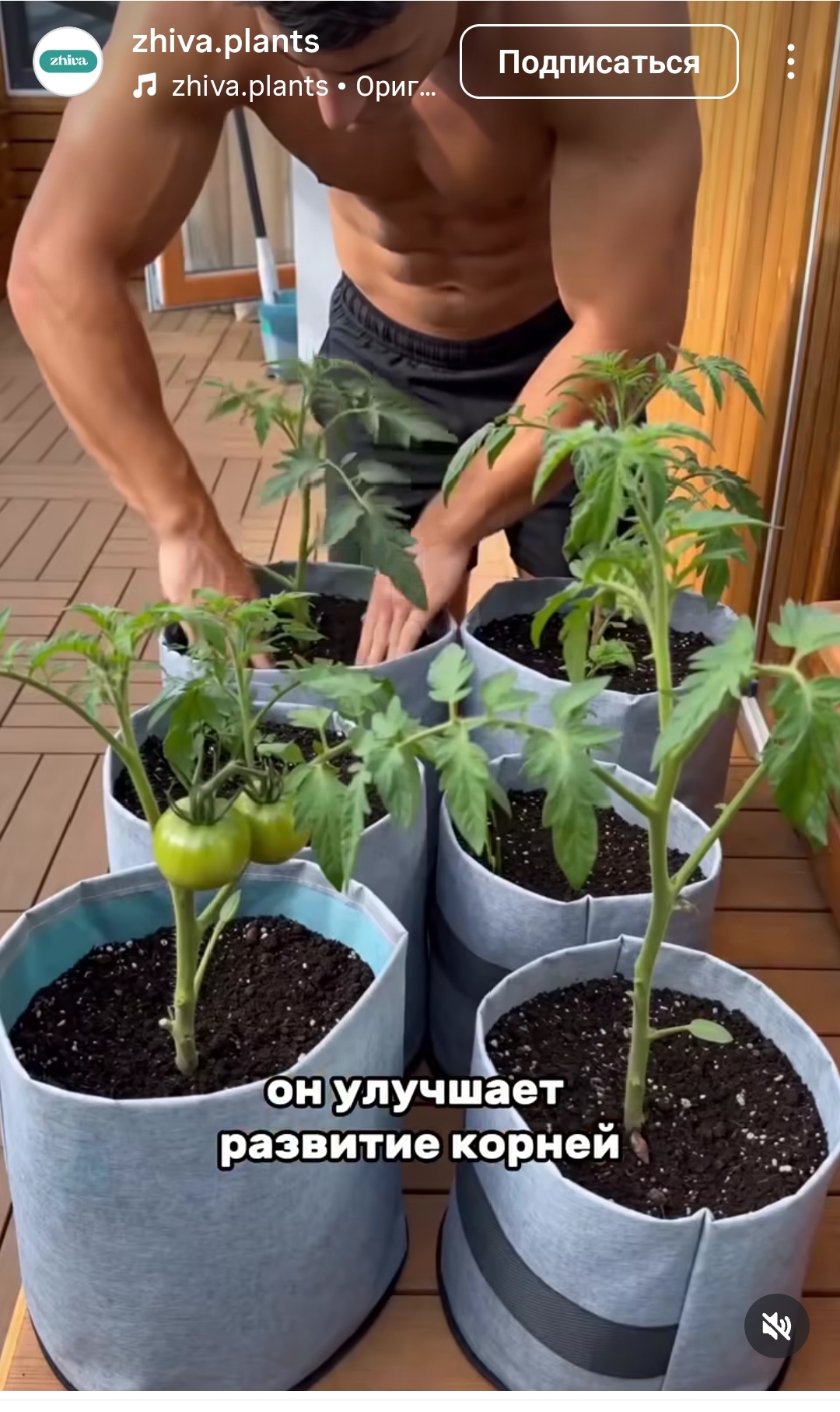 https://upforme.ru/uploads/001c/87/08/3/860508.jpg