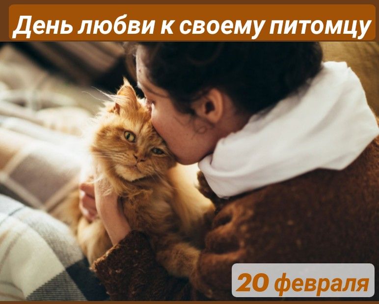 https://upforme.ru/uploads/001c/87/08/3/862248.jpg