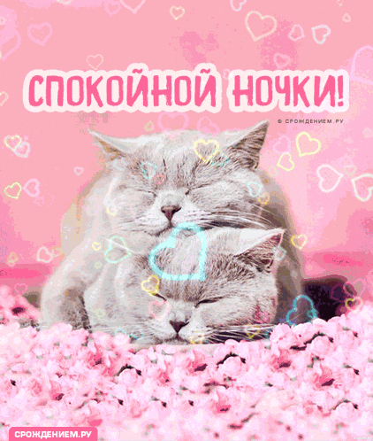 https://upforme.ru/uploads/001c/87/08/3/863068.gif