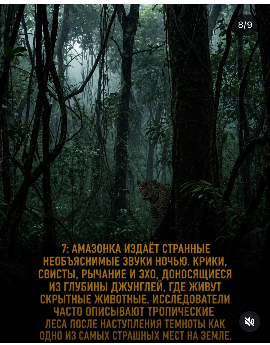 https://upforme.ru/uploads/001c/87/08/3/865222.jpg