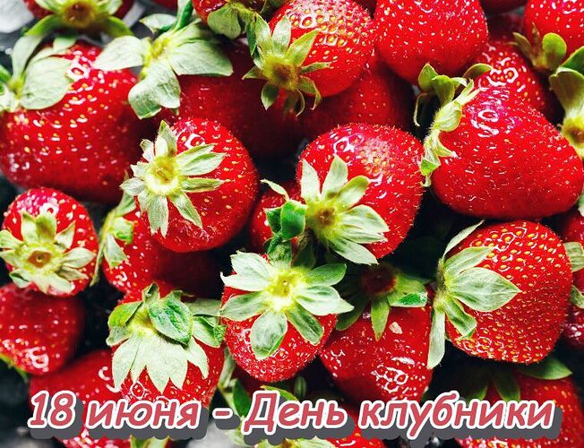 https://upforme.ru/uploads/001c/87/08/3/869010.jpg