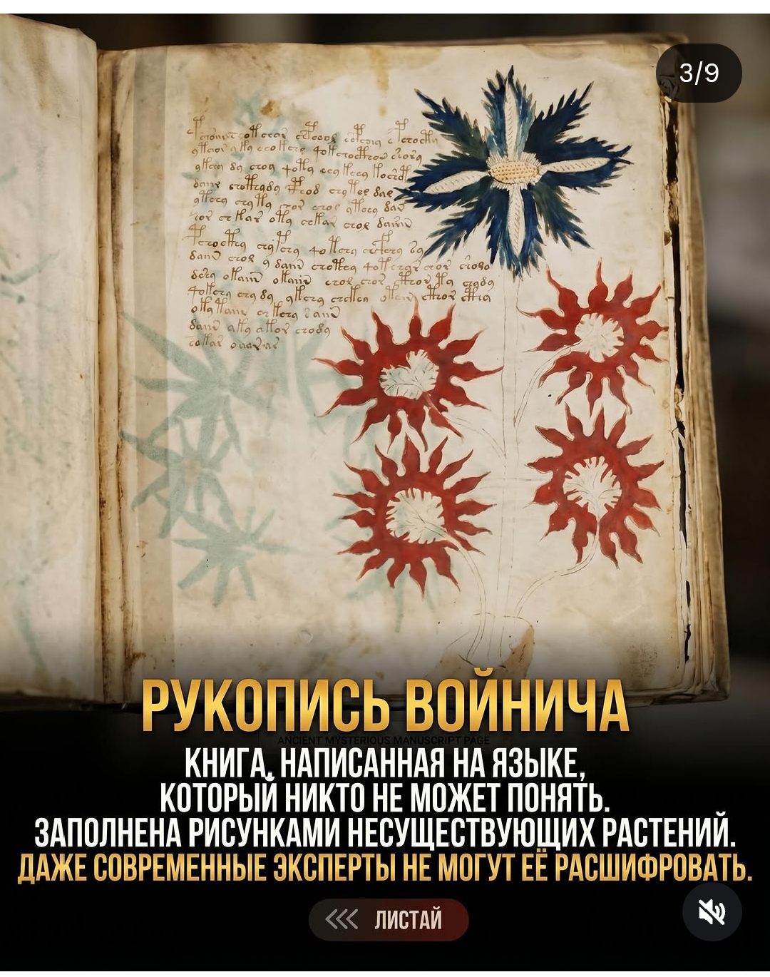 https://upforme.ru/uploads/001c/87/08/3/871422.jpg