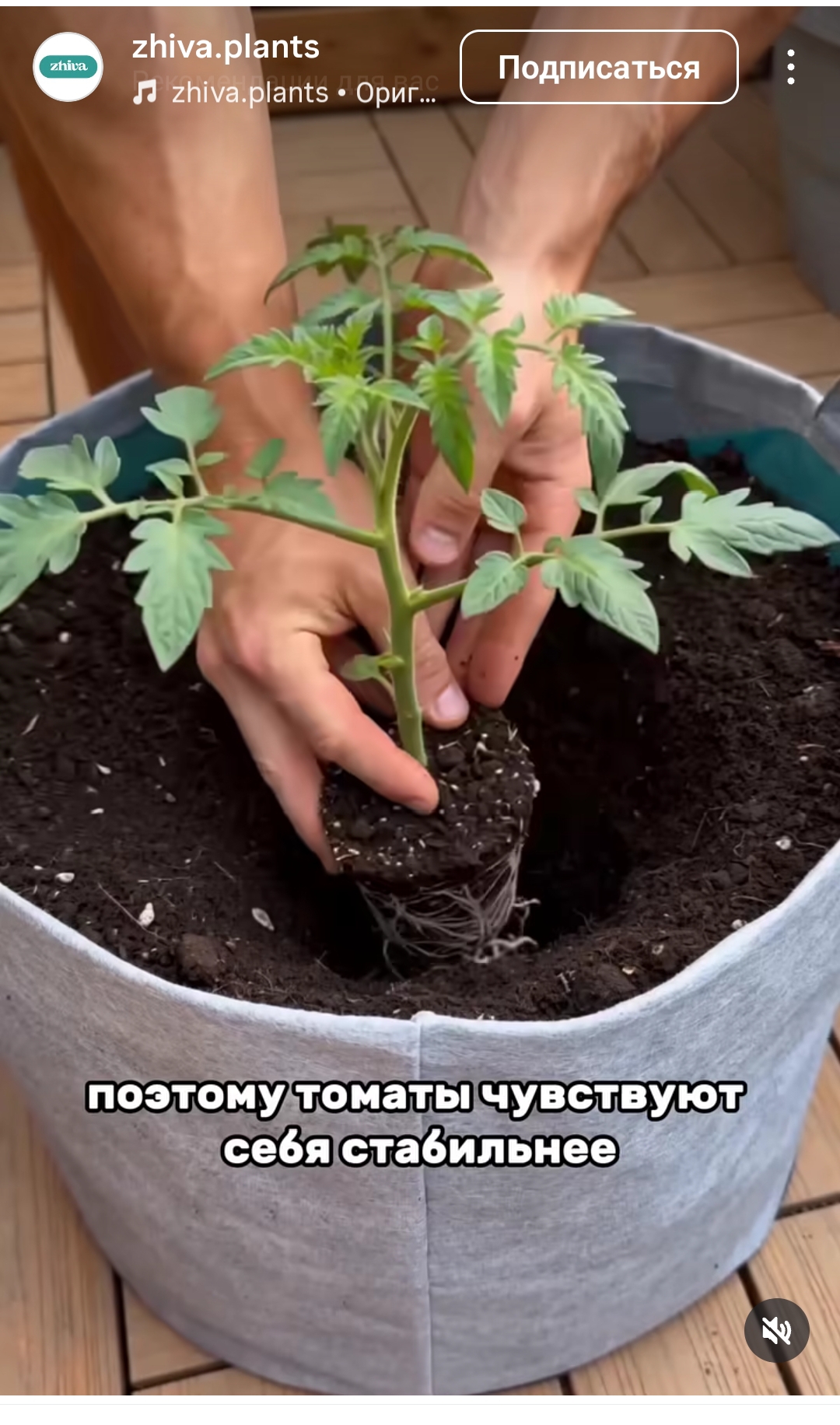 https://upforme.ru/uploads/001c/87/08/3/873409.jpg