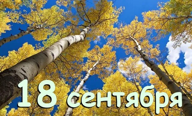 https://upforme.ru/uploads/001c/87/08/3/881649.jpg