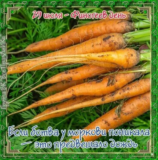 https://upforme.ru/uploads/001c/87/08/3/887337.jpg