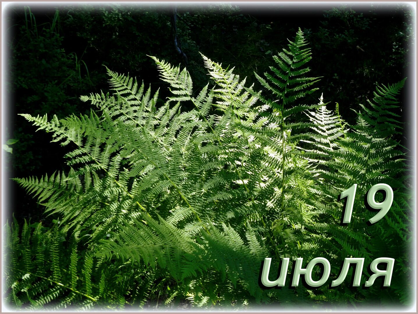 https://upforme.ru/uploads/001c/87/08/3/888403.jpg