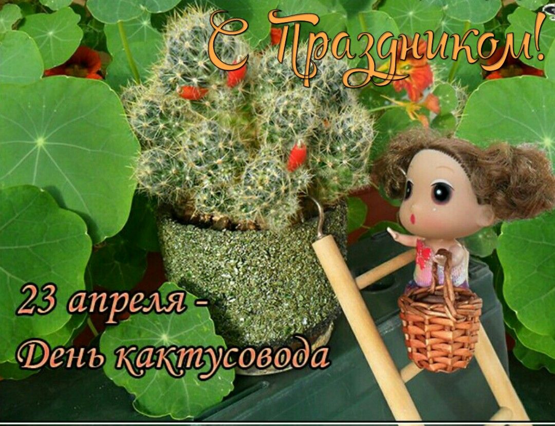https://upforme.ru/uploads/001c/87/08/3/889876.jpg