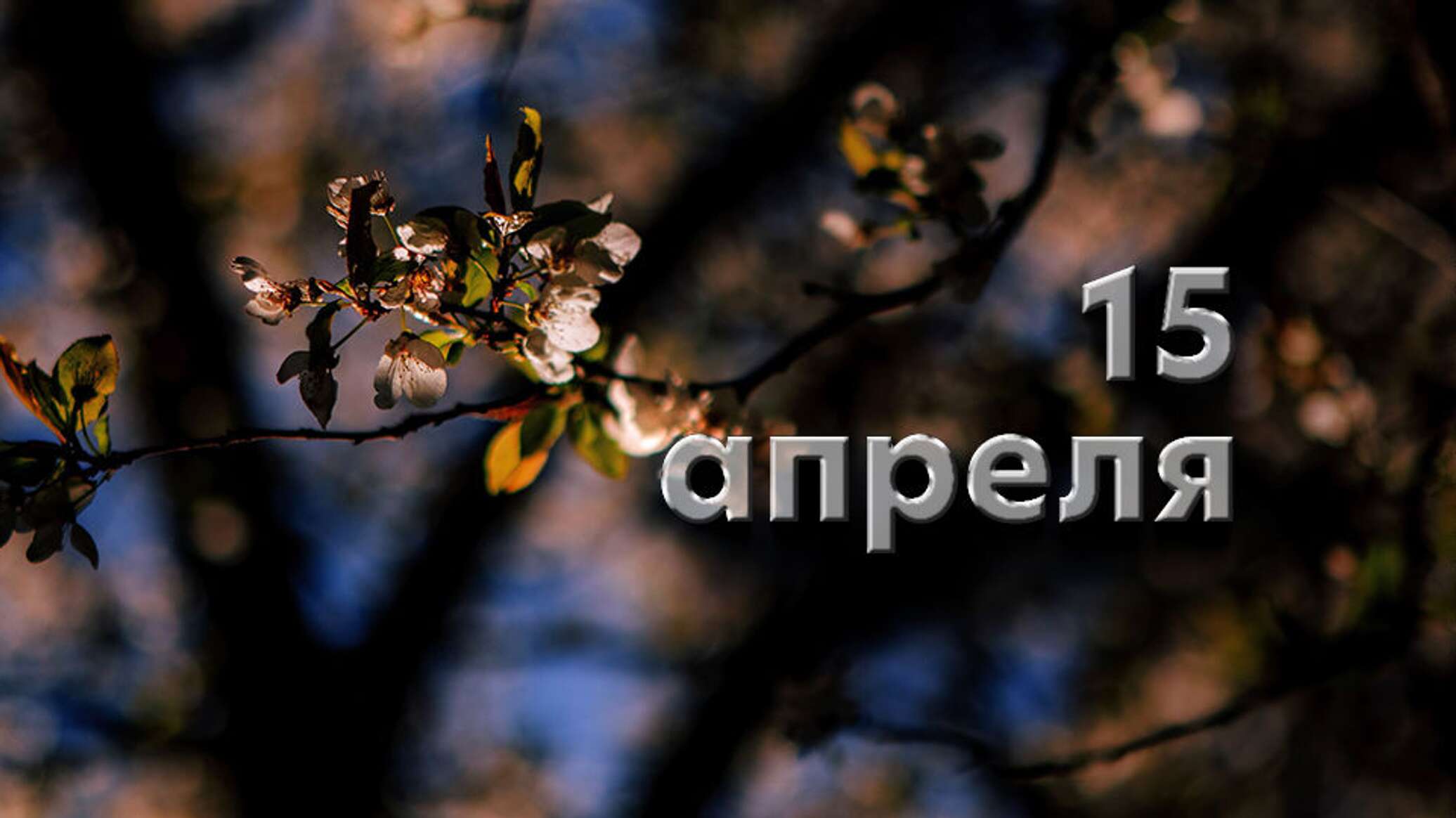 https://upforme.ru/uploads/001c/87/08/3/890237.jpg