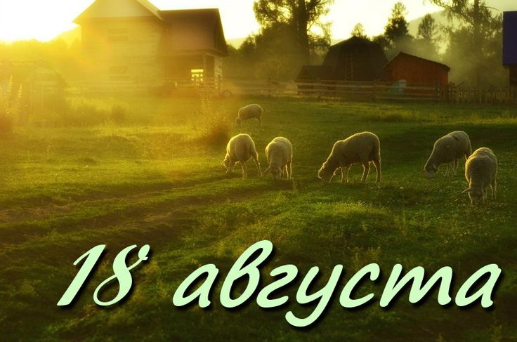 https://upforme.ru/uploads/001c/87/08/3/894841.jpg
