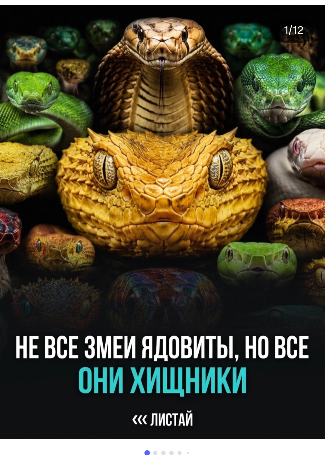 https://upforme.ru/uploads/001c/87/08/3/896118.jpg