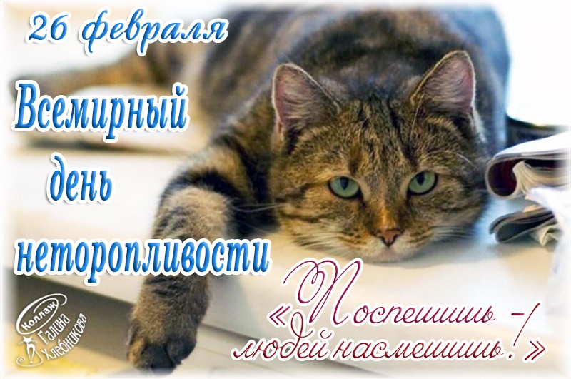 https://upforme.ru/uploads/001c/87/08/3/899119.jpg