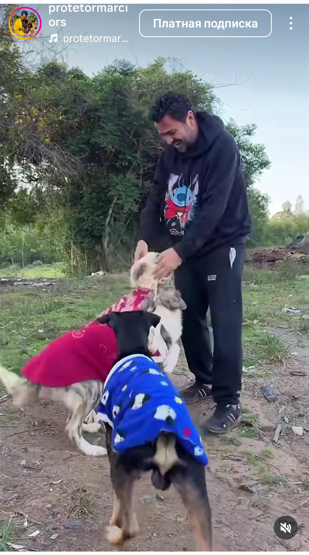 https://upforme.ru/uploads/001c/87/08/3/902168.jpg