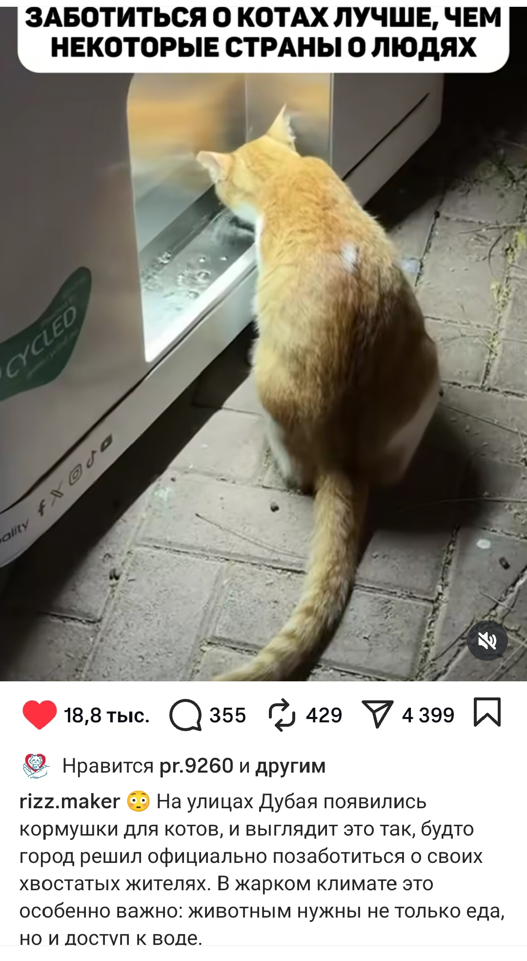 https://upforme.ru/uploads/001c/87/08/3/904248.jpg