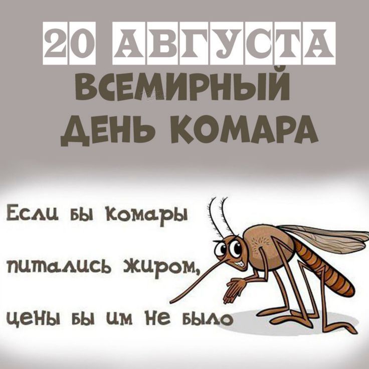 https://upforme.ru/uploads/001c/87/08/3/907329.jpg