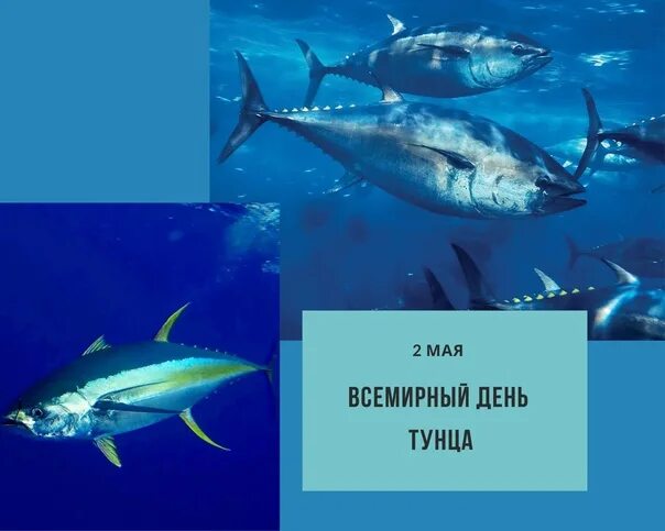 https://upforme.ru/uploads/001c/87/08/3/907583.jpg