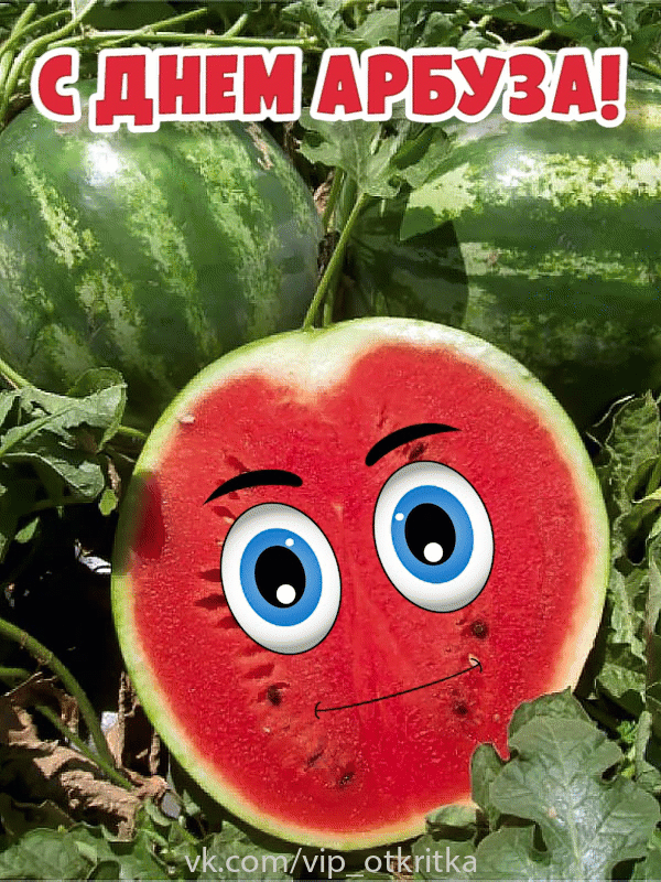 https://upforme.ru/uploads/001c/87/08/3/913348.gif