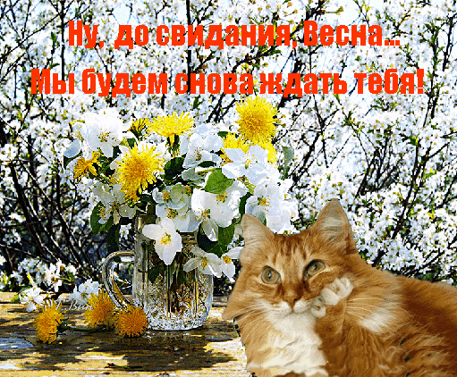 https://upforme.ru/uploads/001c/87/08/3/91940.gif