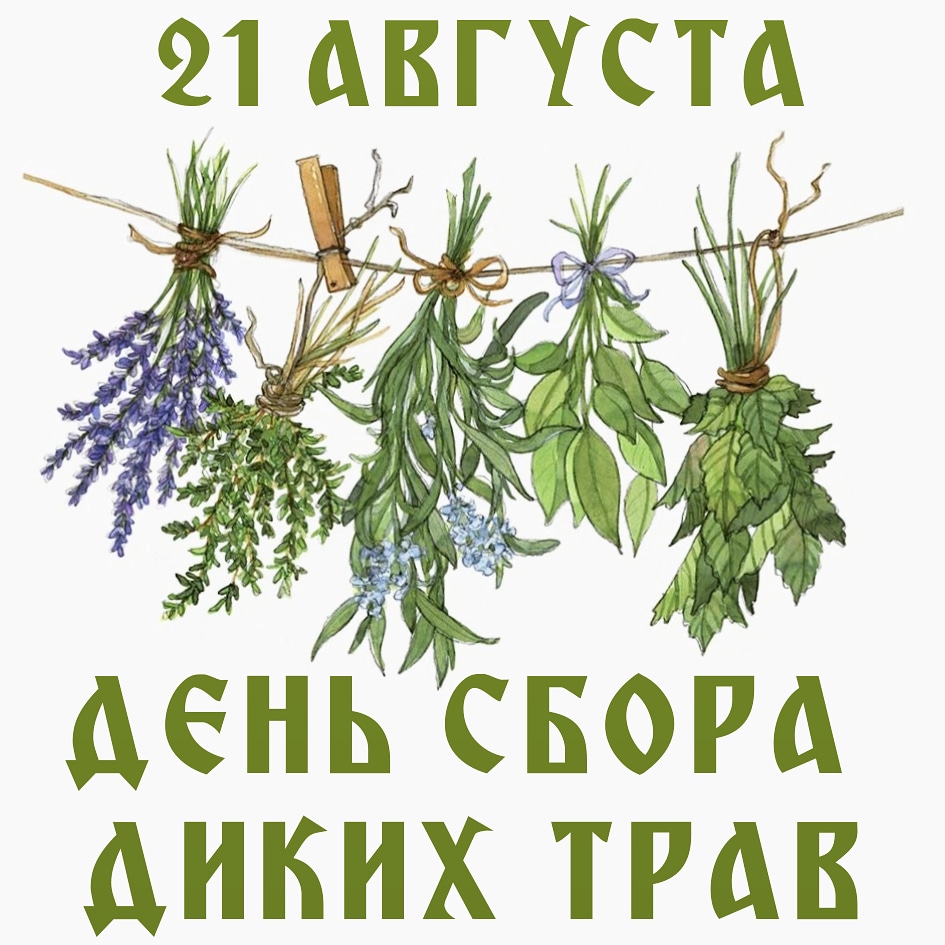 https://upforme.ru/uploads/001c/87/08/3/91972.jpg