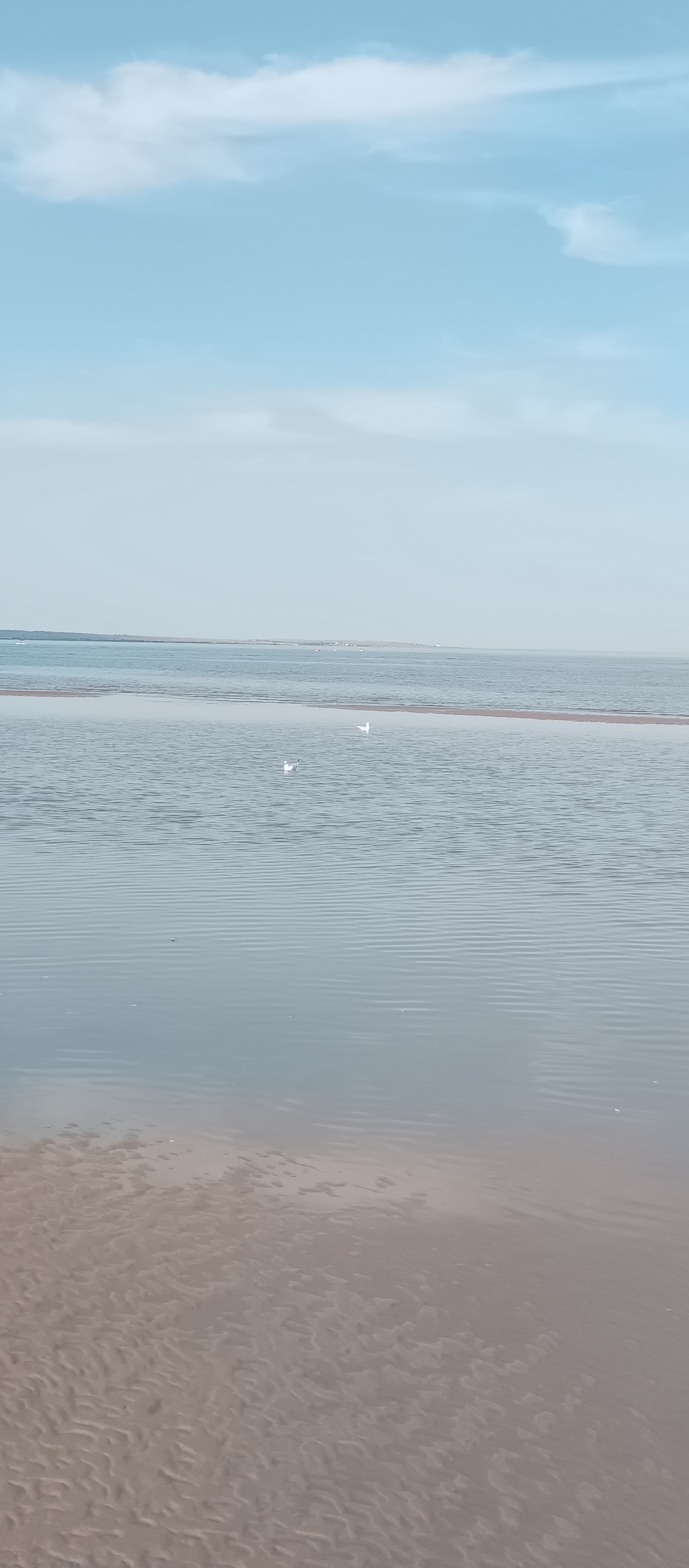 https://upforme.ru/uploads/001c/87/08/3/926423.jpg