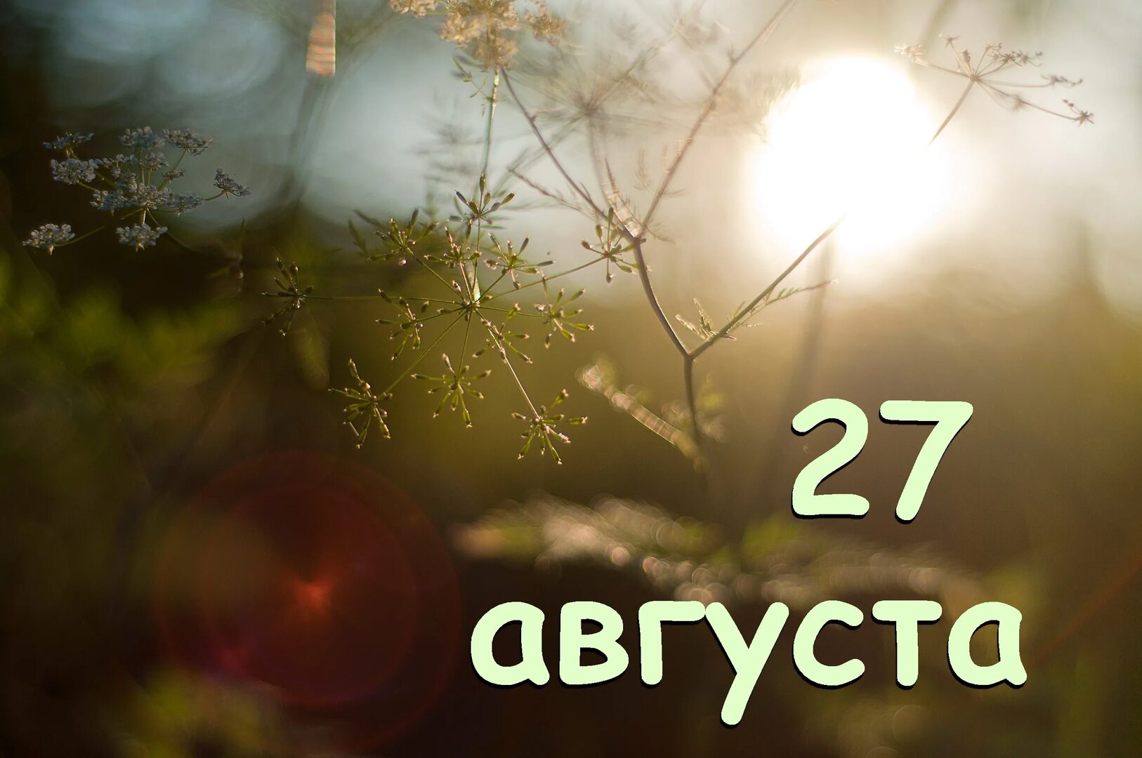 https://upforme.ru/uploads/001c/87/08/3/932875.jpg