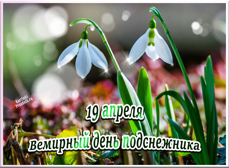 https://upforme.ru/uploads/001c/87/08/3/933332.gif